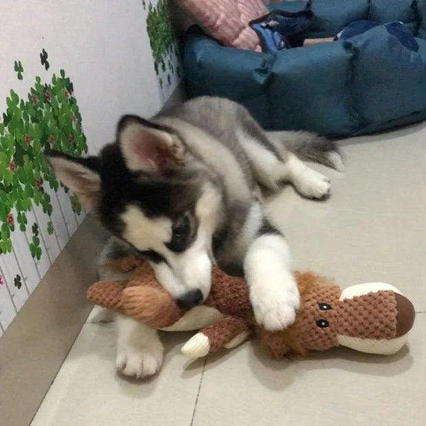 Tenerotto™ - Il peluche ultra resistente!